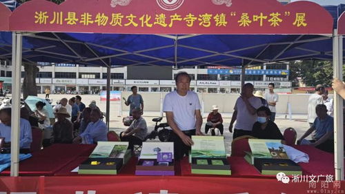 淅川县2023年“文化和自然遗产日”宣传活动暨文化艺术交流活动圆满举行